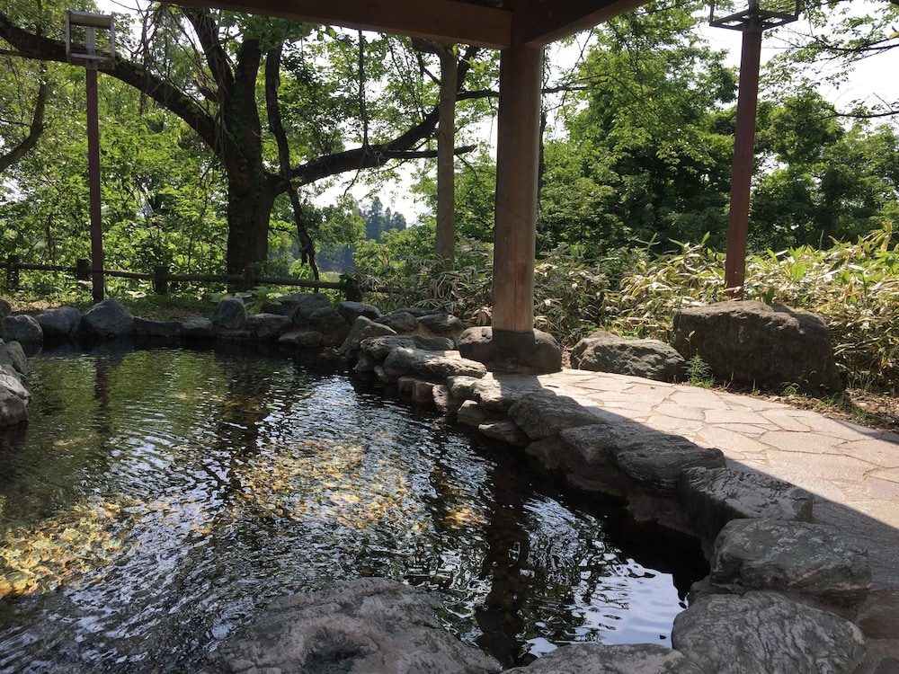 Hotel Tetora Resort Akita Yokote Onsen, photo 9