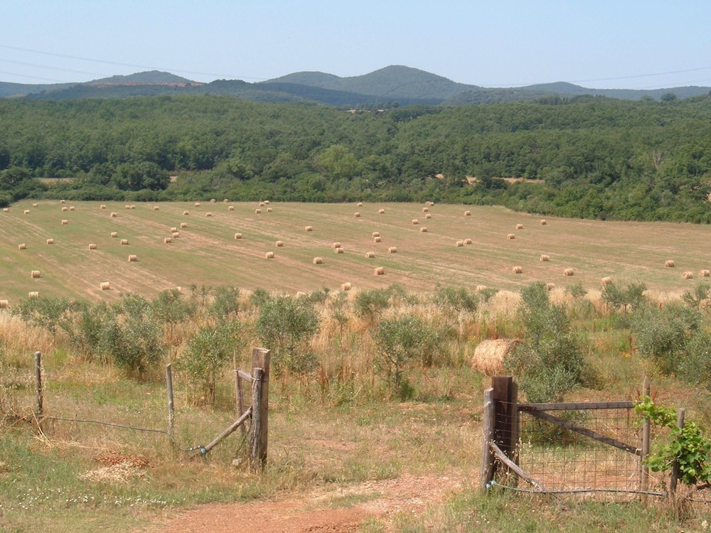 Borgognano Farm House