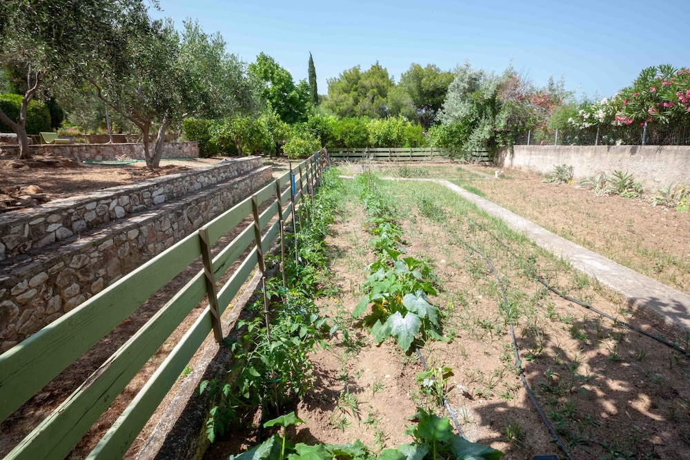 Beautiful mini eco farmhouse