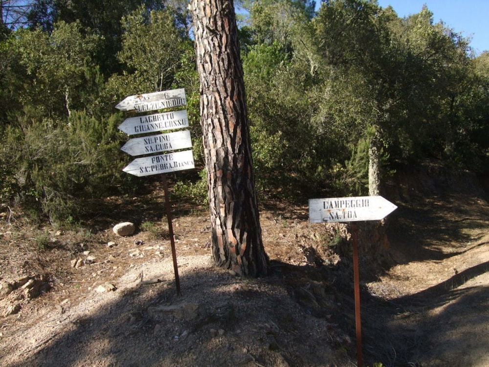Photo 24