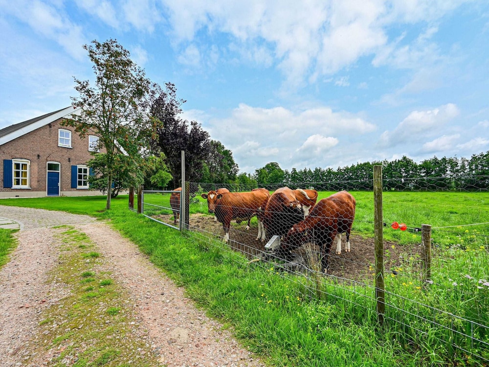Farmhouse in De Heurne With Animal Farm, photo 21