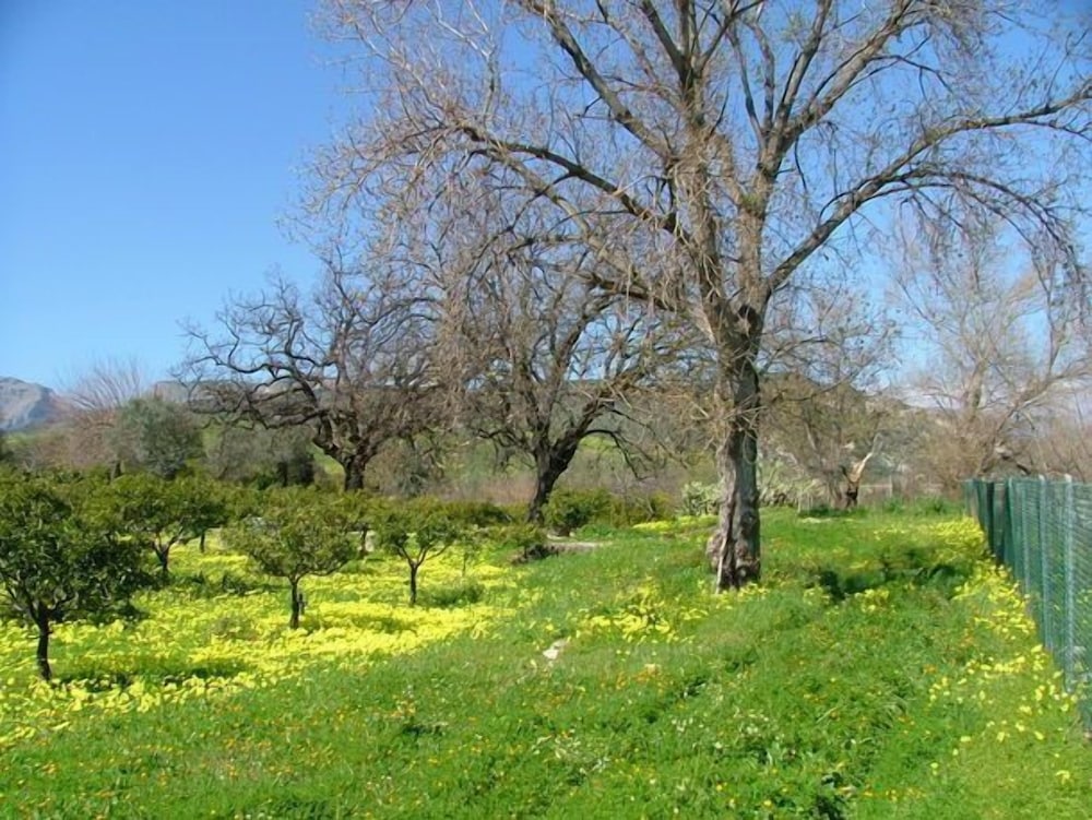 Villa Vittoria