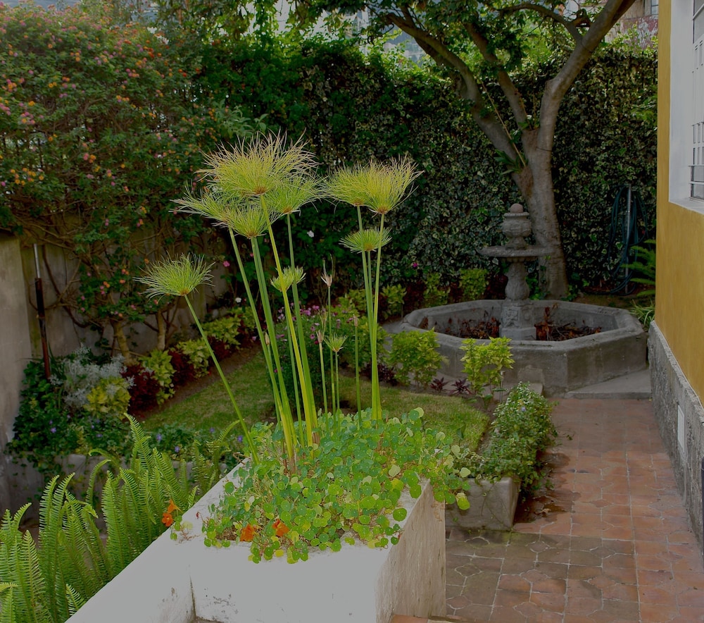 La Casa Amarilla