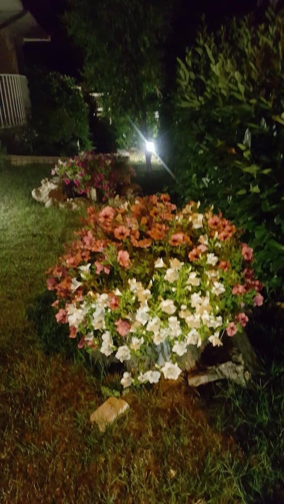Bed and Breakfast Villa Gioia, photo 27