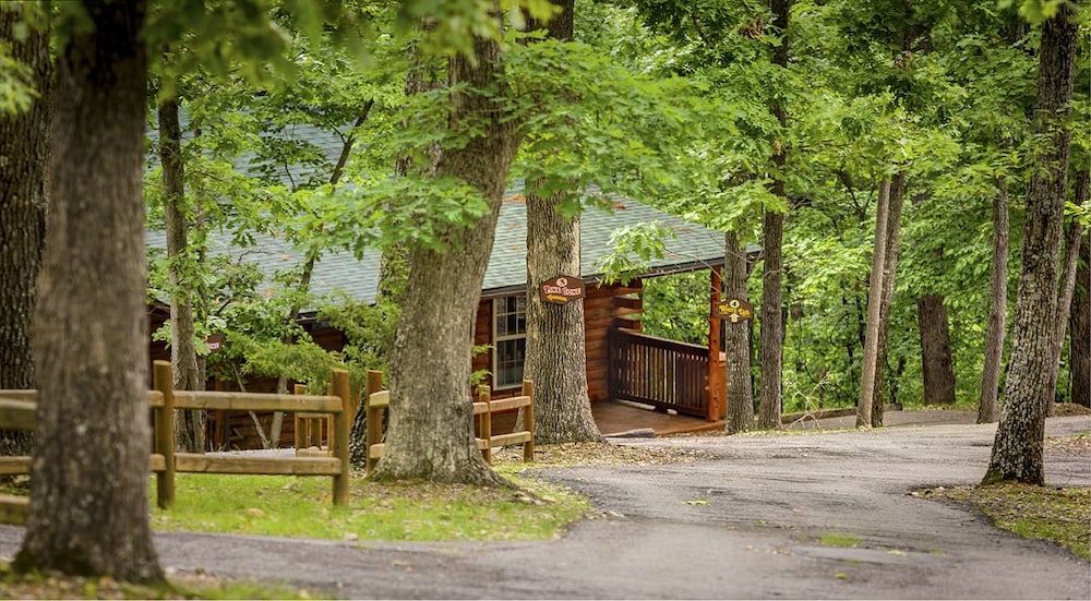 Hotel Lake Forest Luxury Log Cabins - Image 1