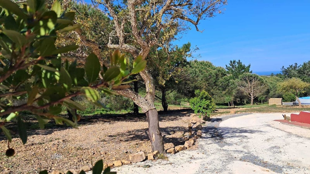 Monte da Silveira