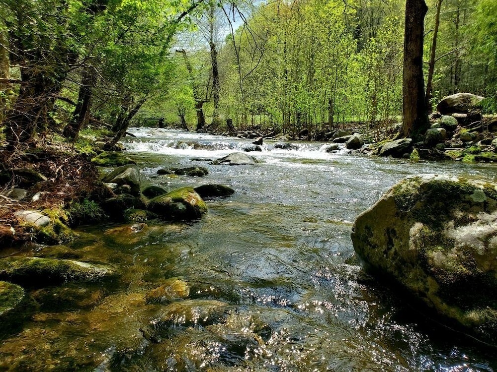 Elk Run On Cosby Creek - 2 Bedrooms, 2 Baths, Sleeps 7 Cabin by RedAwning