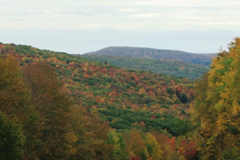 Cold Spring Lodge