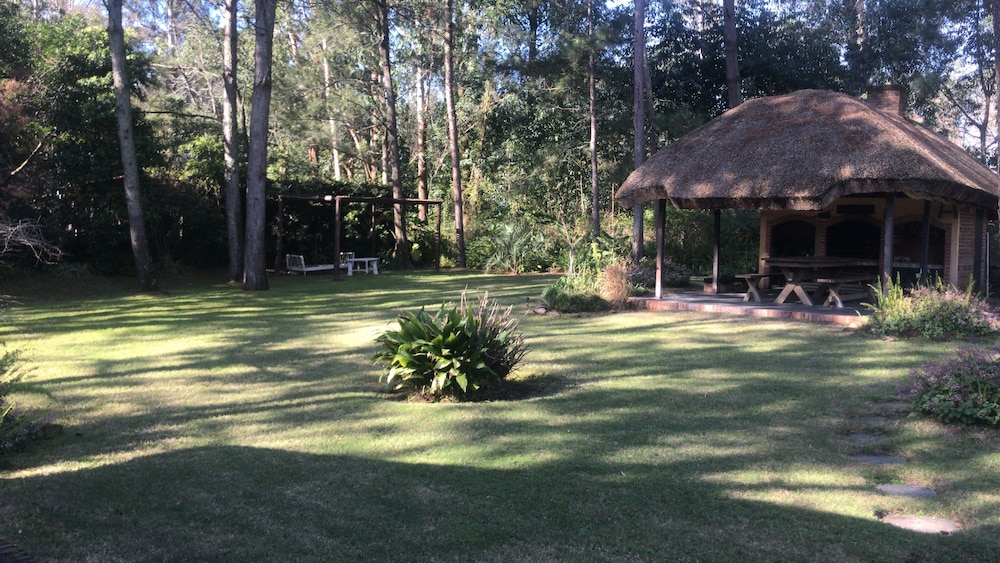 Verde Verde