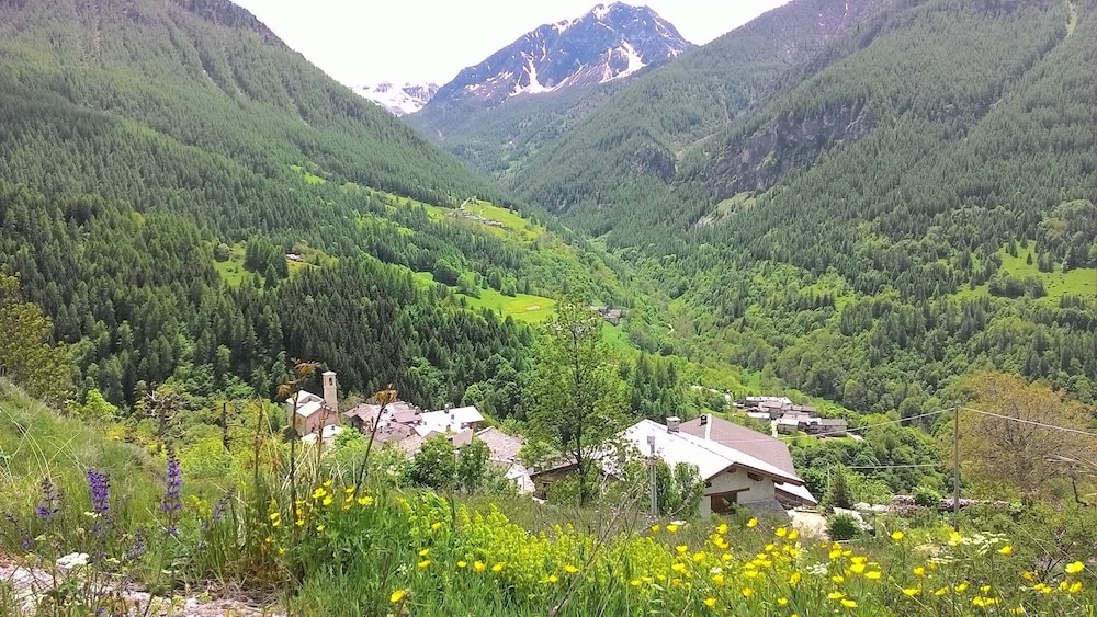Photo 21