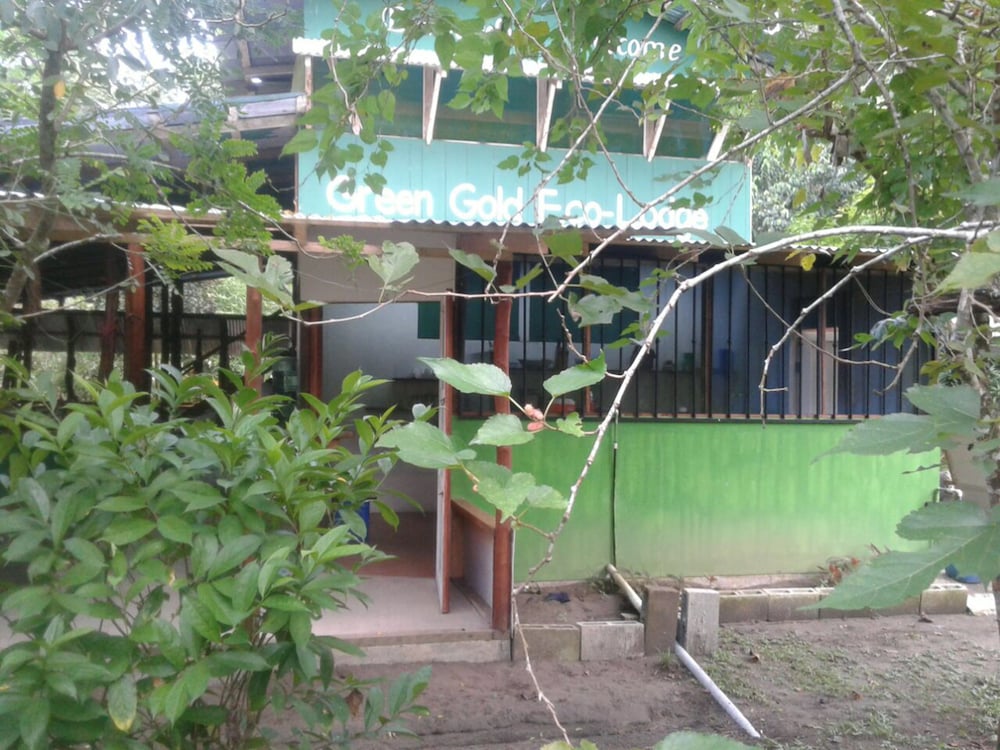 Green Gold Ecolodge view 4