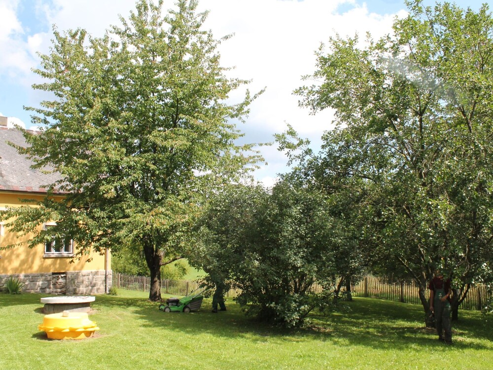 Photo 11