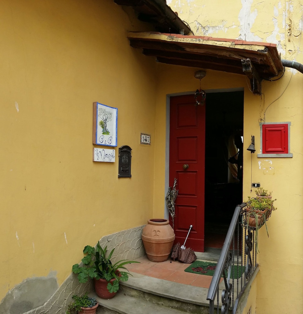 Photo 43