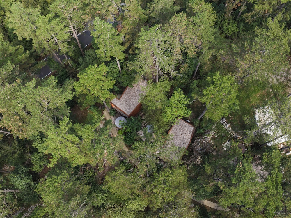 Theodosius forest village Vipava
