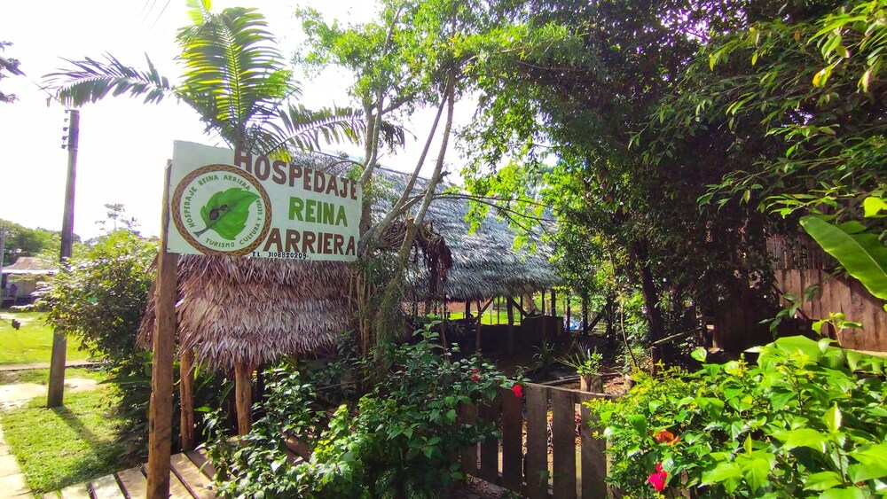 Hospedaje  Reina Arriera Amazonas