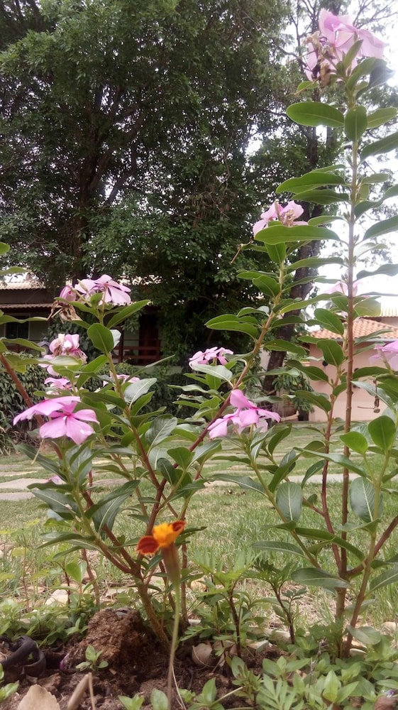 Photo 46