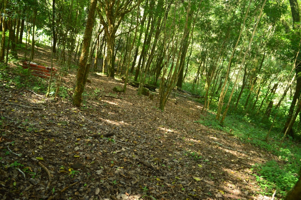 Coati Lodge