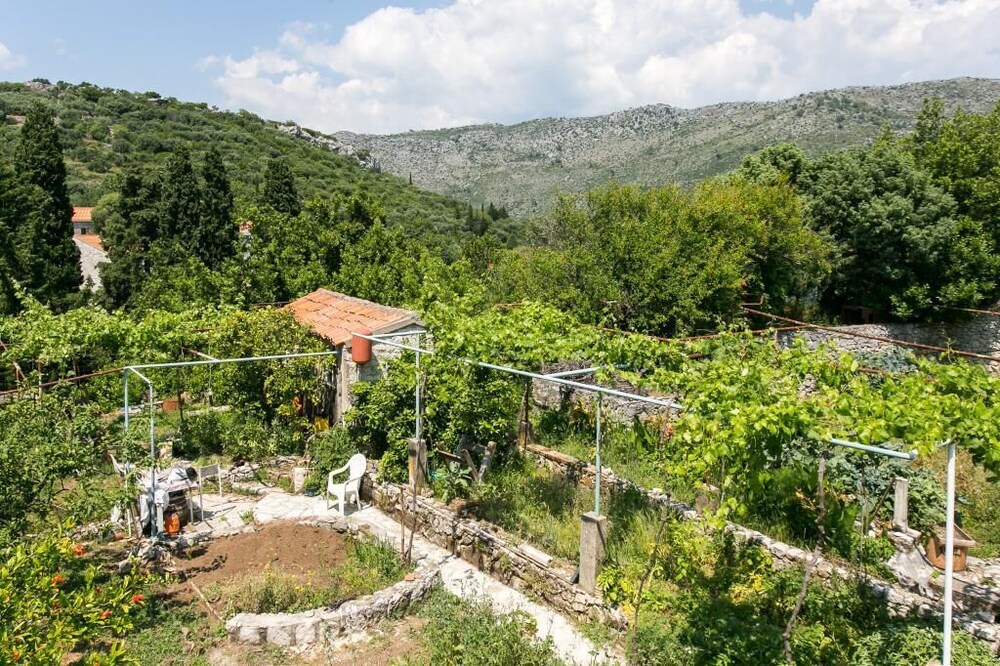 Guest House Zaton
