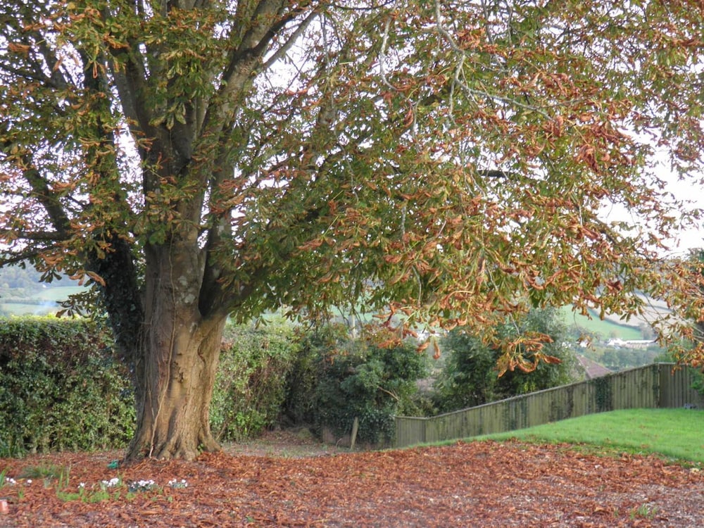 Sidmouth Bed & Breakfast