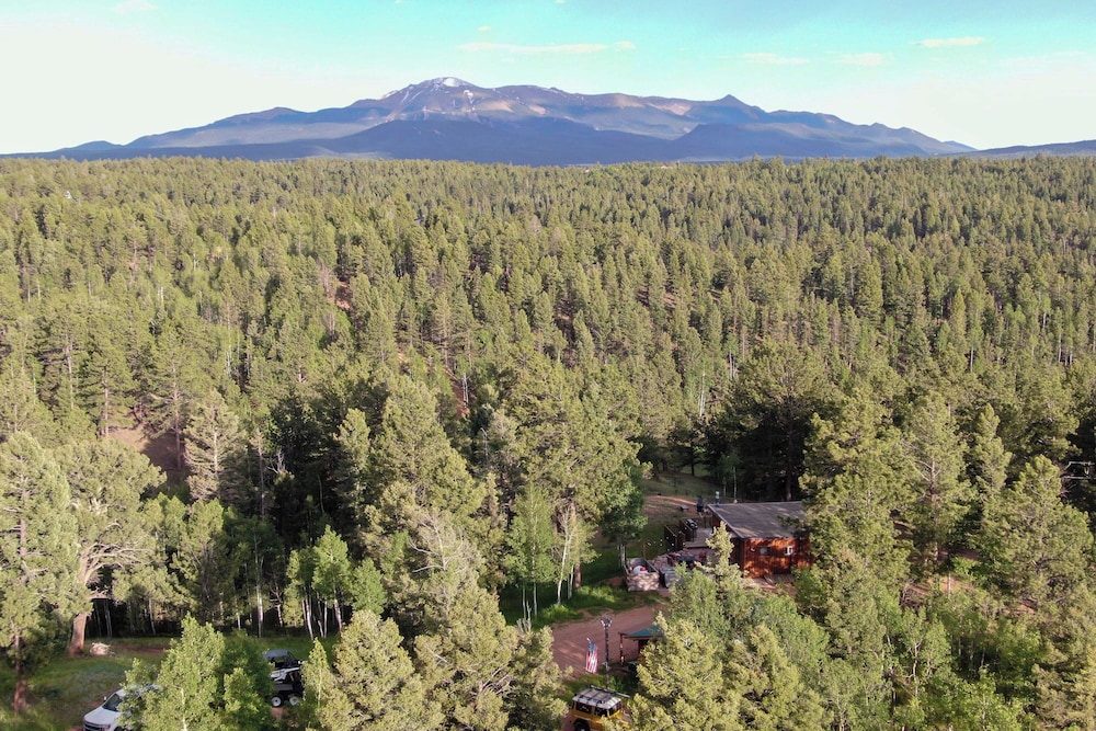 Pike National Forest Access: Secluded Divide Cabin