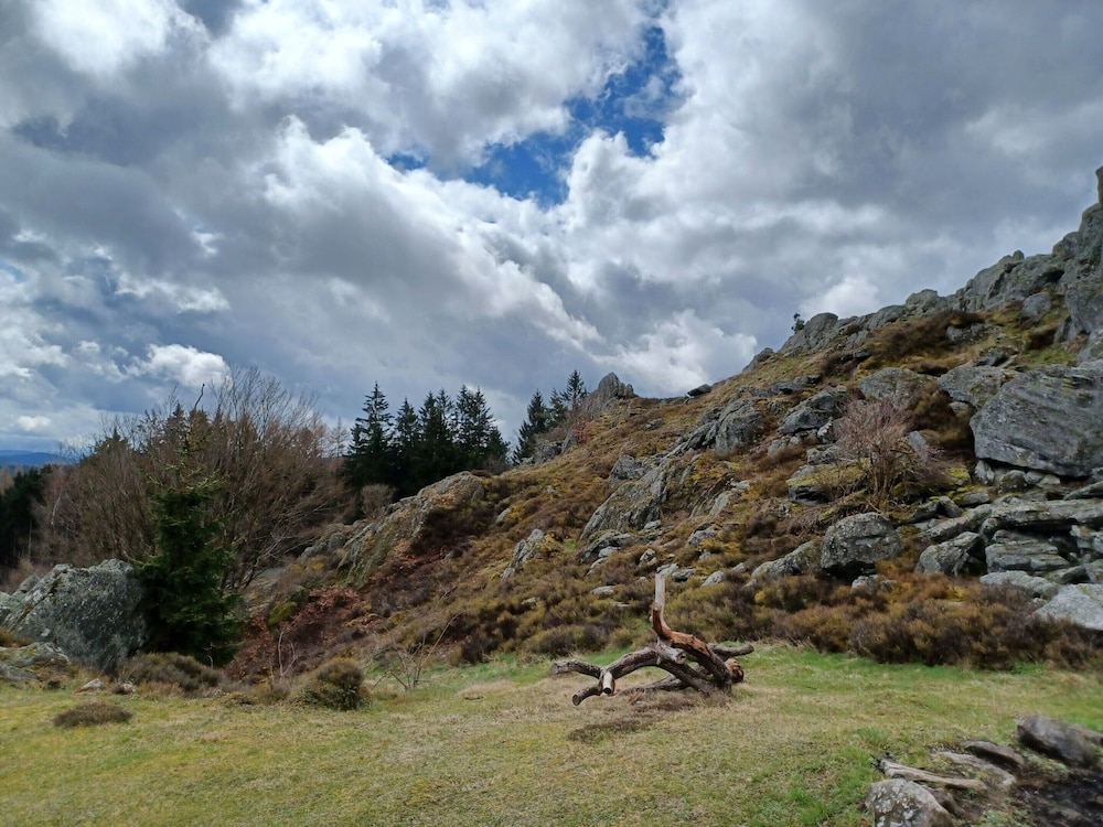 Photo 35