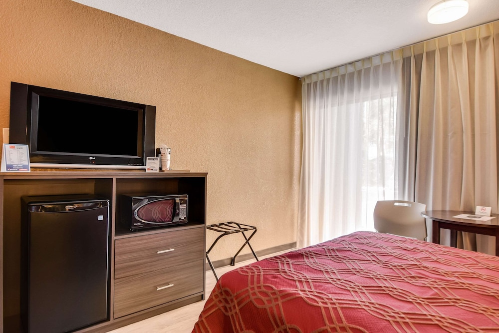 Tampa Vacations - Econo Lodge Busch Gardens - Property Image 5
