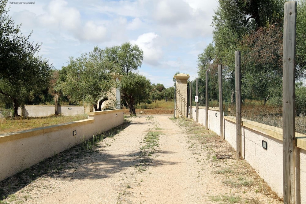 Photo 21