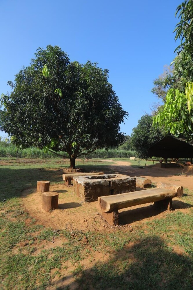 Camp Hasthi
