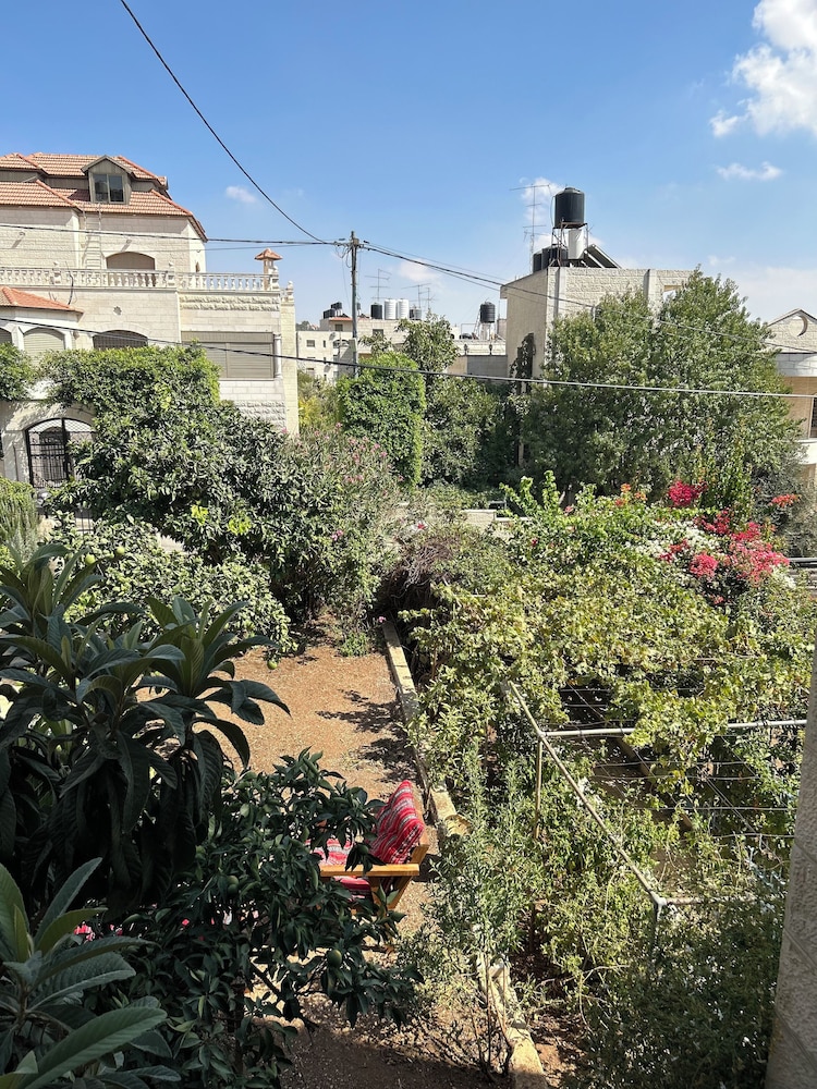 OliveTreeHostel, photo 39