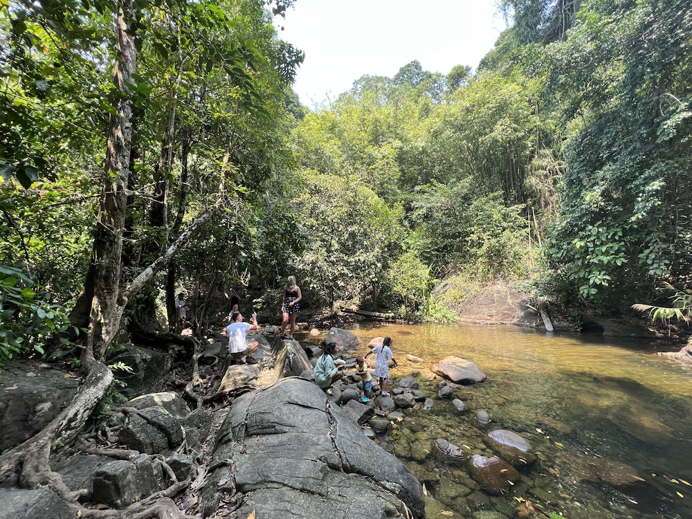 Photo 43