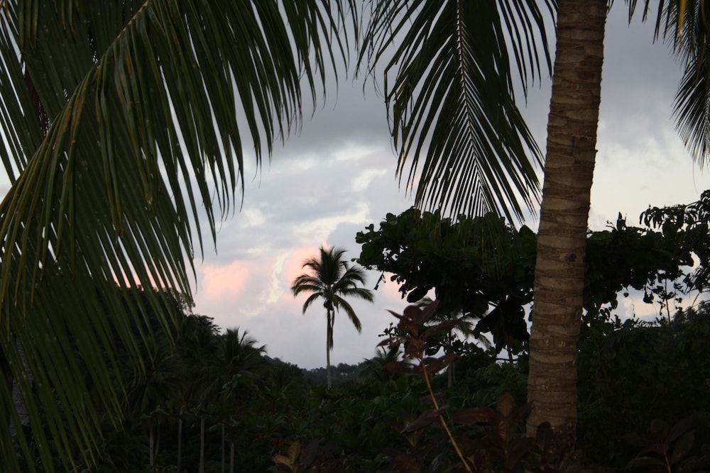 Hibiscus Valley Inn