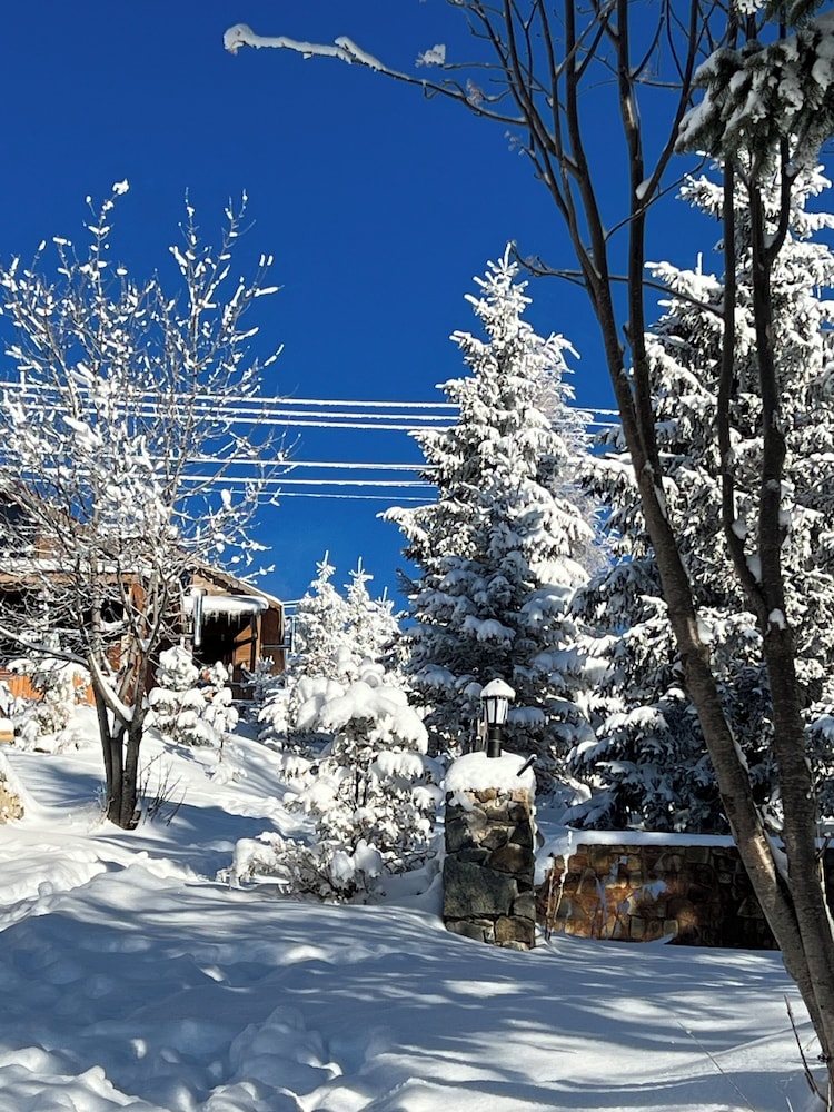 Ny Çambaşı