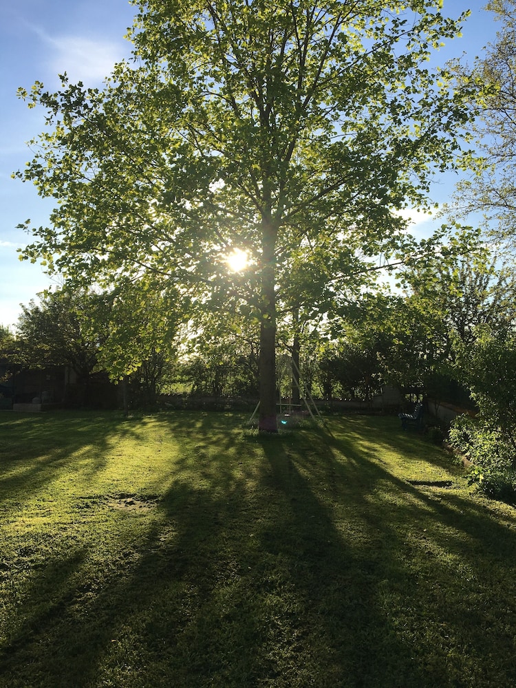 Photo 32