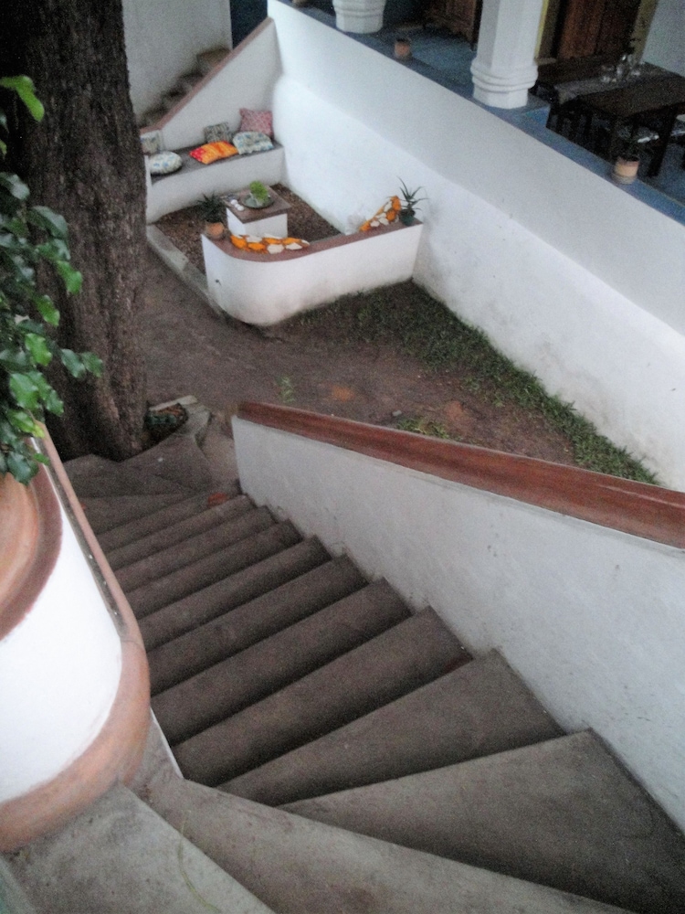 Jardim dos Aloés - Unique B&B, photo 104