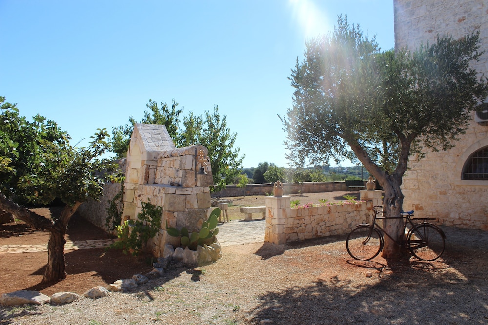 Photo 41