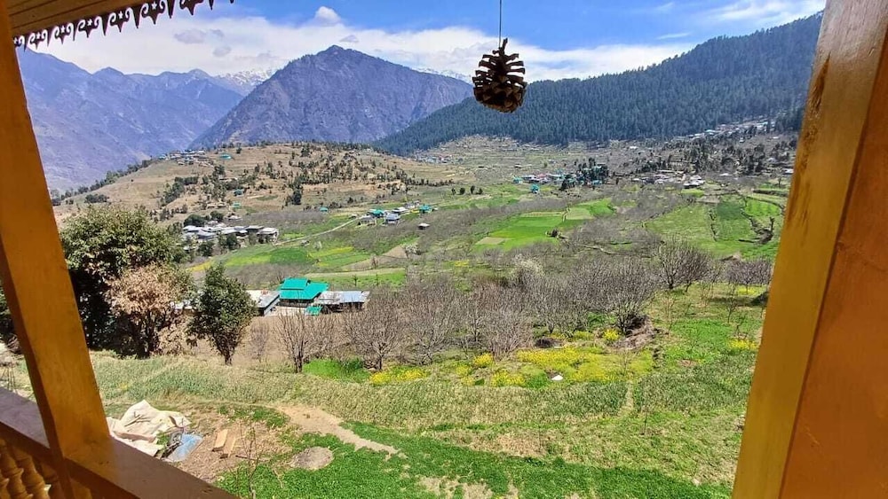Vally View Homestay