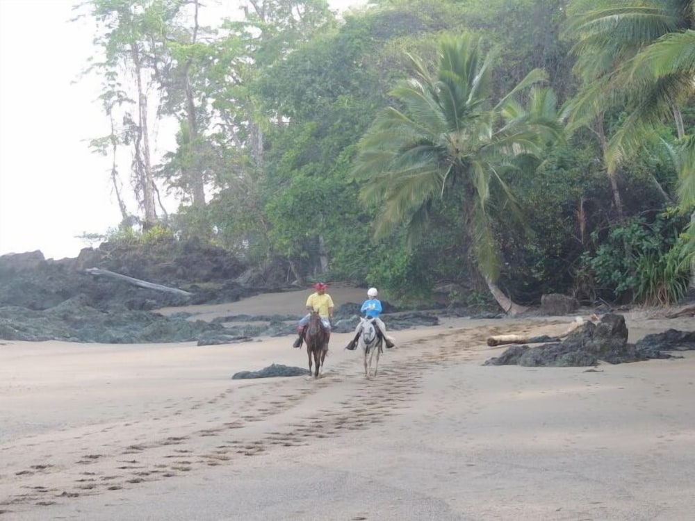 Corcovado Adventures Tent Camp