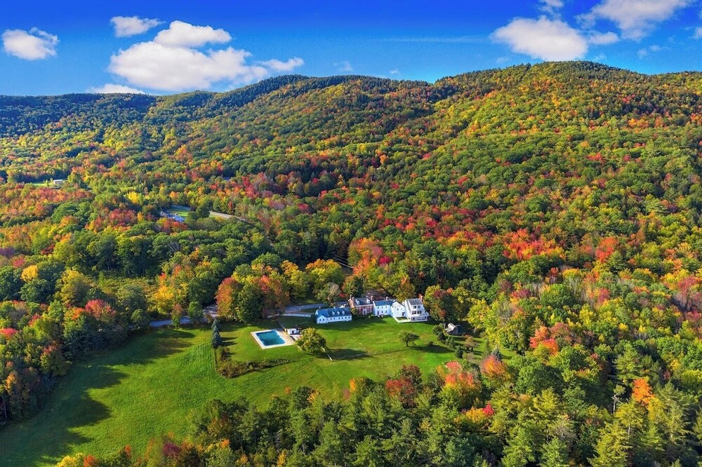 Blue Bear Inn