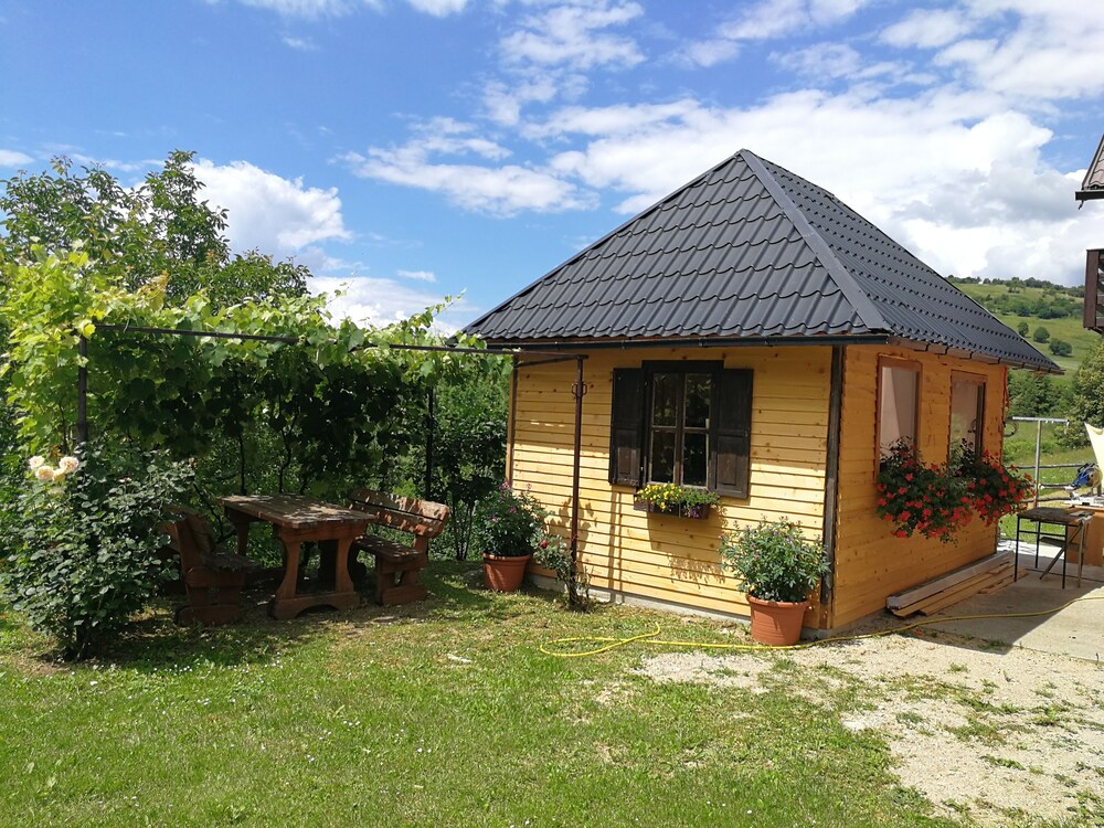 Photo 17