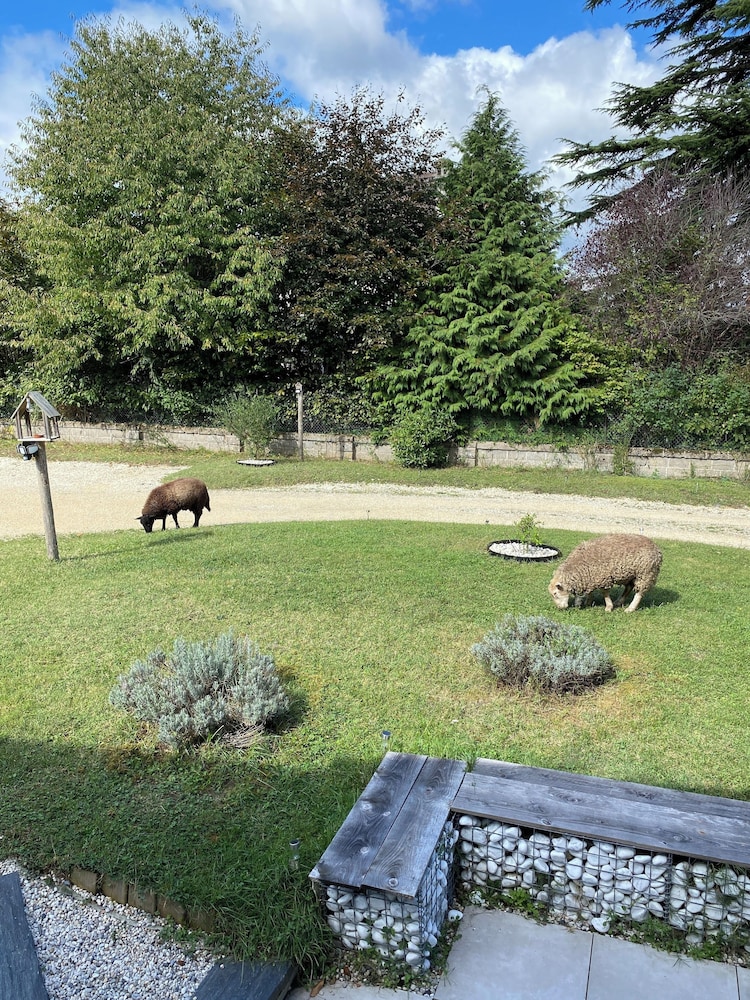 Photo 17