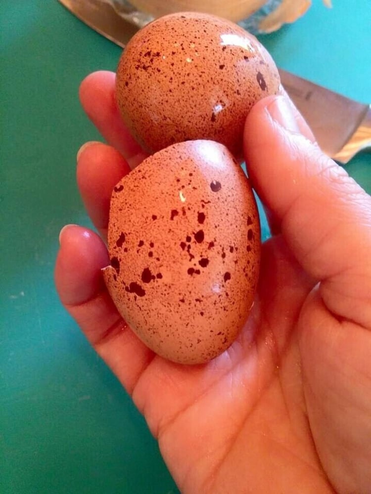 Milwaukee Vacations - Manderley Bed and Breakfast - Property Image 8