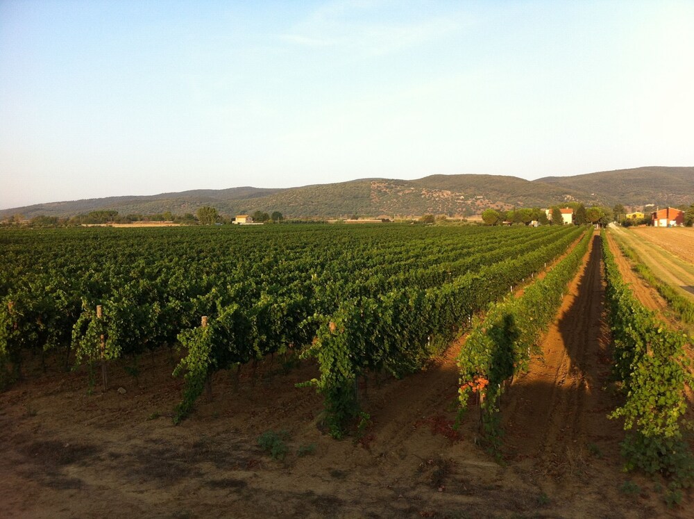 Agriturismo Santa Lucia view 5