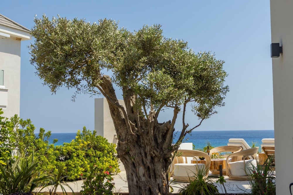 Protaras Beachfront Villla Mimosa