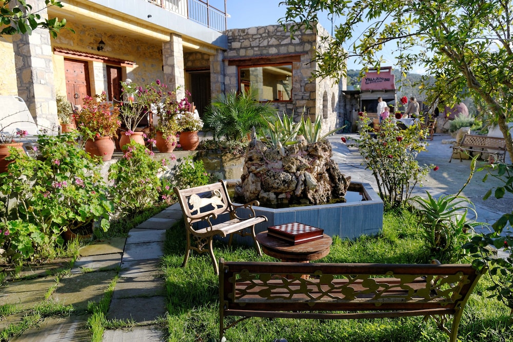 Villa Olive Tree
