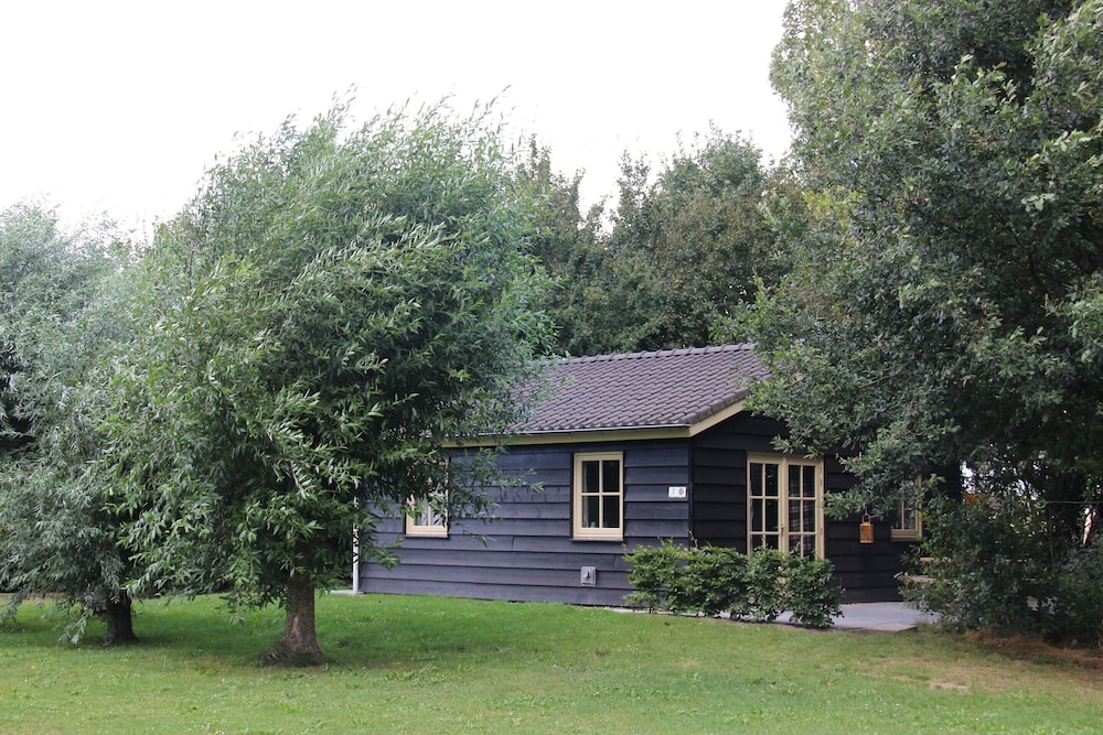 Photo 18