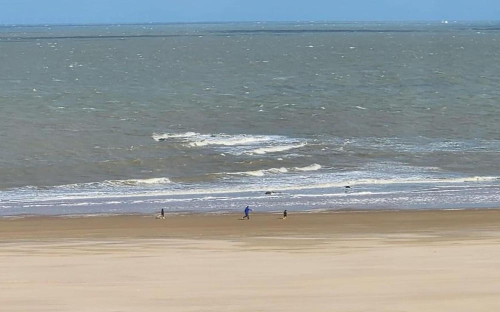 Apartment in Knokke Near the Beach & Casino