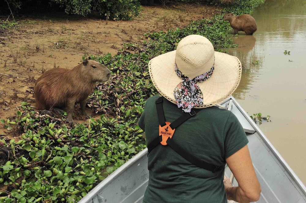 SouthWild Pantanal Lodge