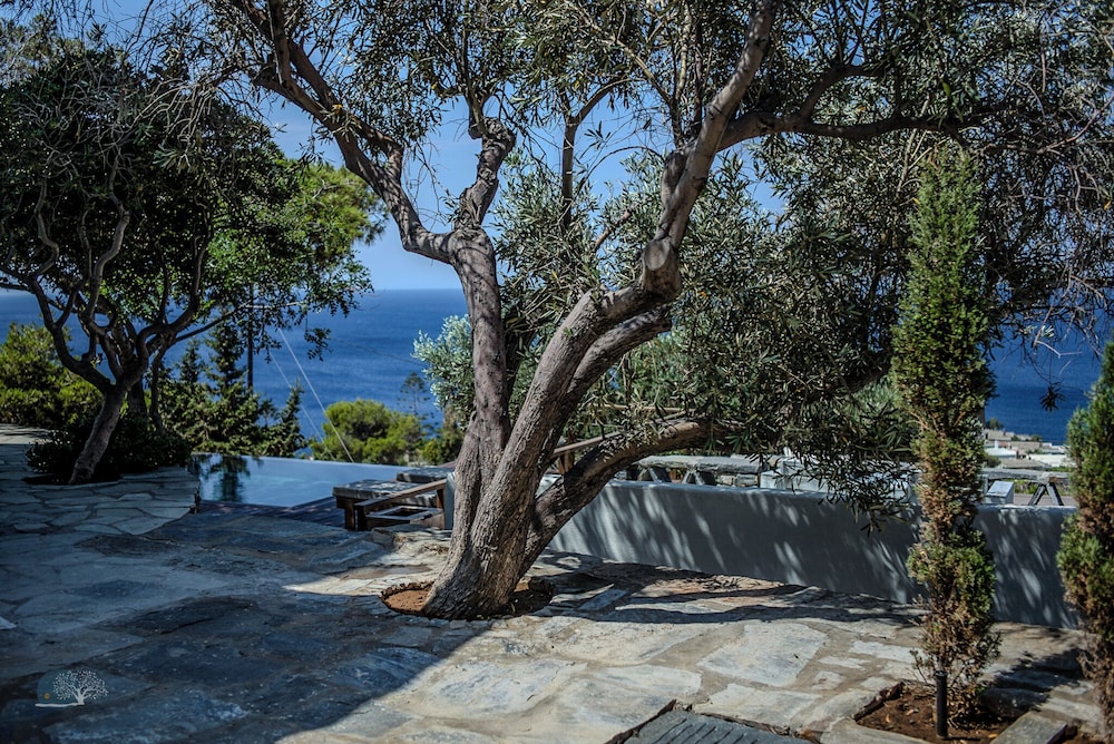 Zen Blue Suites Luxury and Nature in Kea