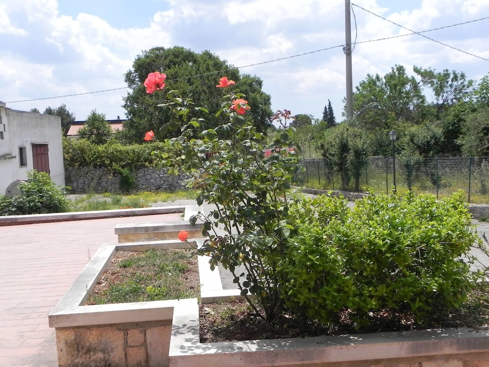 Photo 11