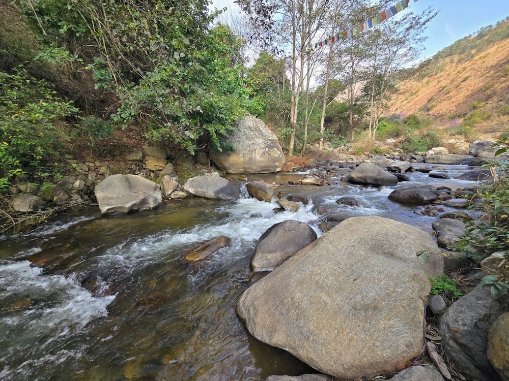 Punakha Stream Resort